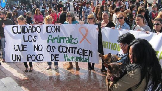 Las mujeres han desarrollado una mayor empat&iacute;a hacia los animales