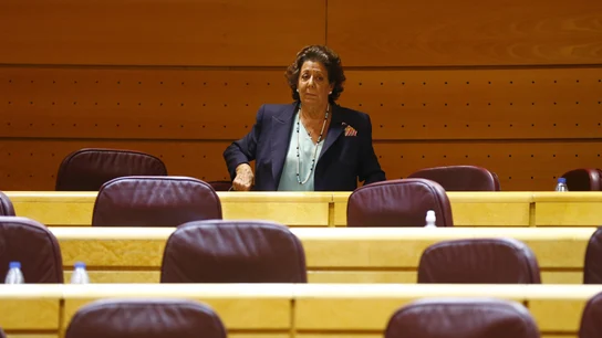 La senadora Rita Barberá junto a su escaño en el Grupo Mixto La senadora Rita Barberá junto a su escaño en el Grupo Mixto