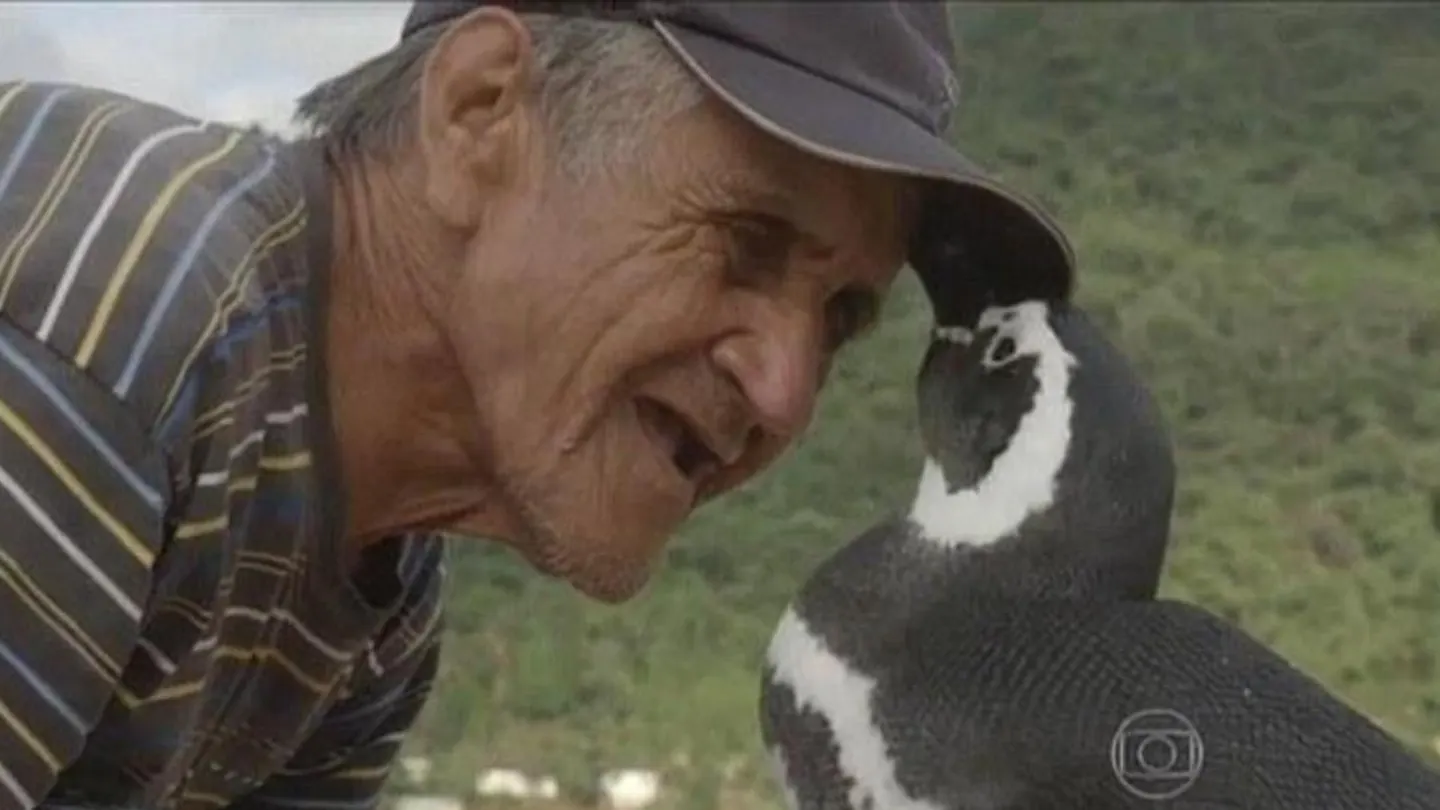 Joao y su amigo pingüino Joao y su amigo pingüino