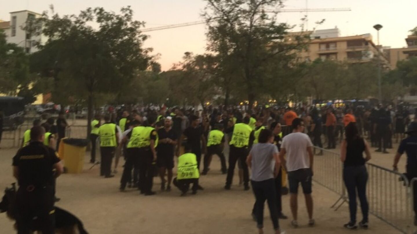 La polic&iacute;a espa&ntilde;ola con aficionados galos en el Sevilla-Lyon.