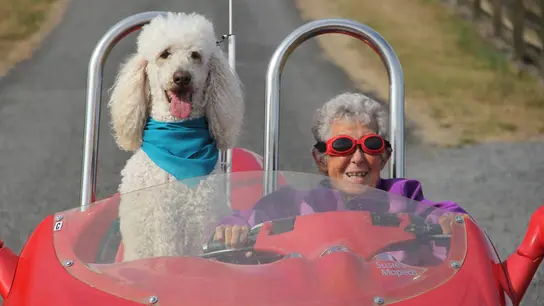 Miss Norma junto a su perro Ringo Miss Norma junto a su perro Ringo