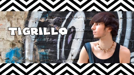 Tigrillo | SpanishQueens Tigrillo