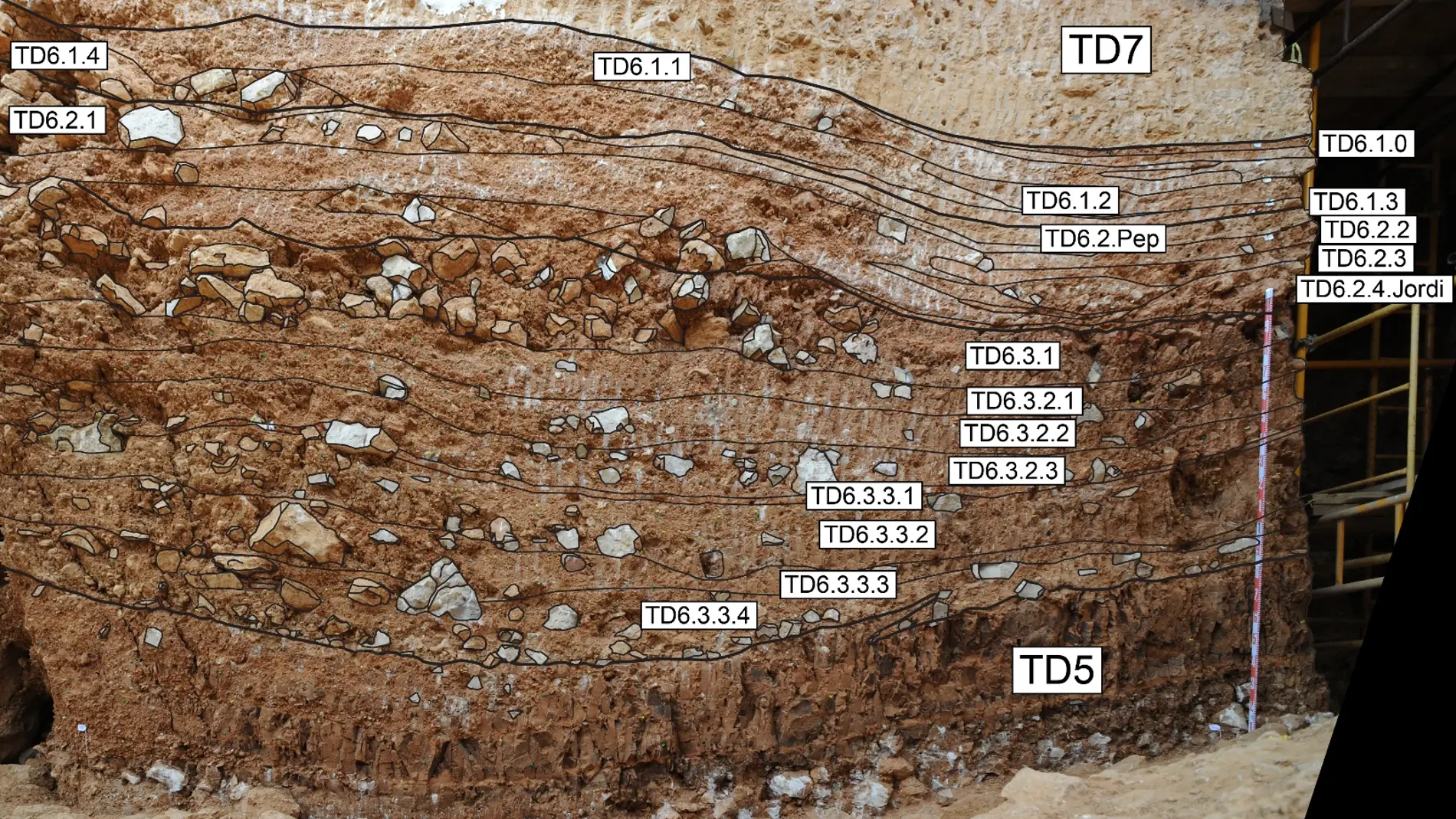 Gran Dolina, Atapuerca