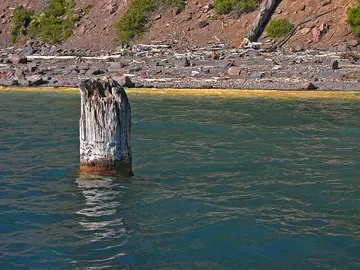 El “anciano” del lago del Cráter, en Oregón, flota en vertical. El “anciano” del lago del Cráter, en Oregón, flota en vertical.