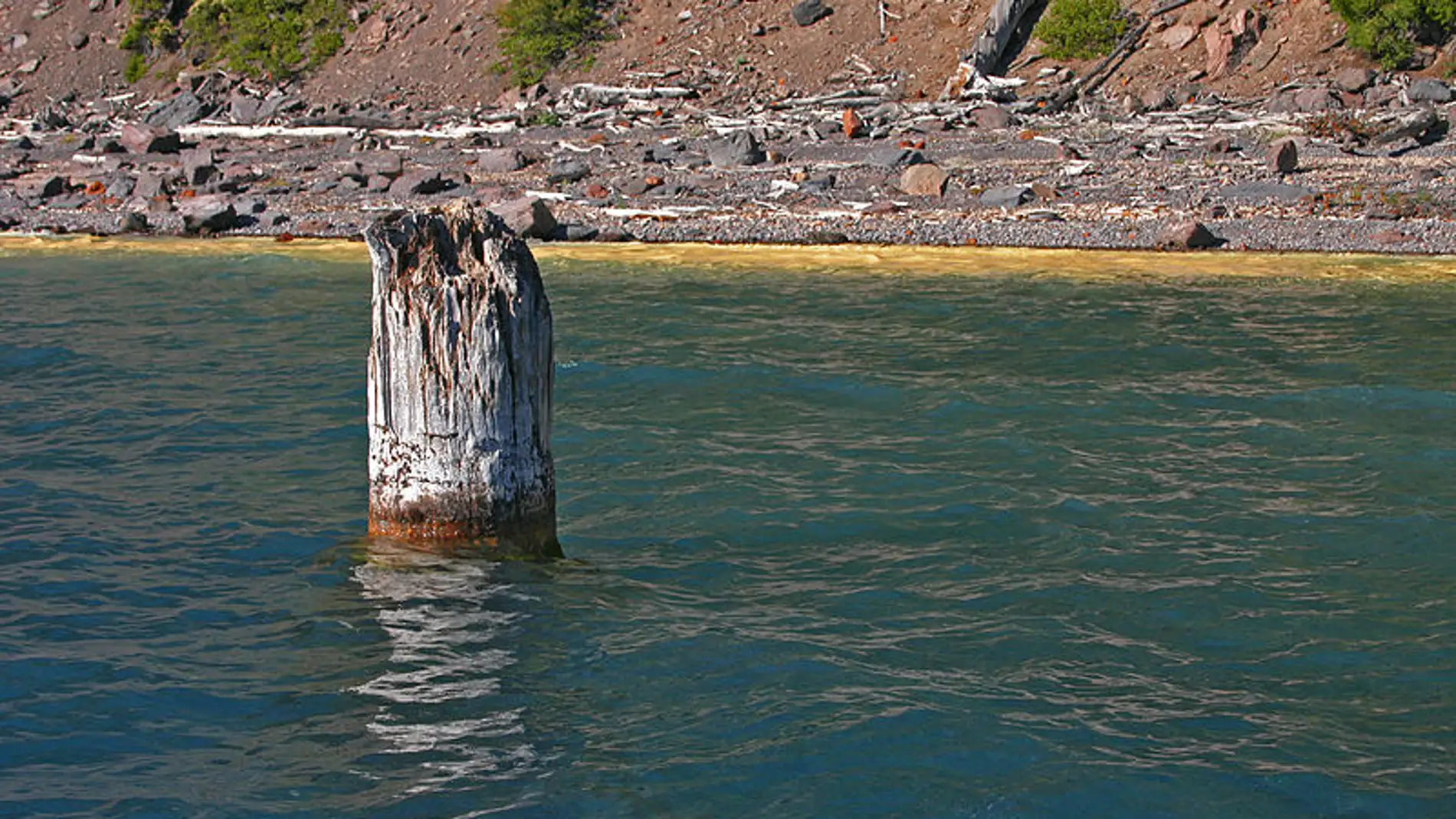 El “anciano” del lago del Cráter, en Oregón, flota en vertical.