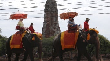 Unos turistas sobre unos elefantes en Tailandia
