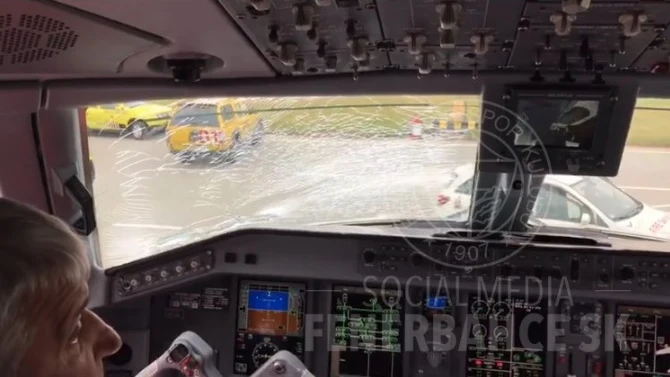 Imagen del cristal del avión tras el impacto del ave
