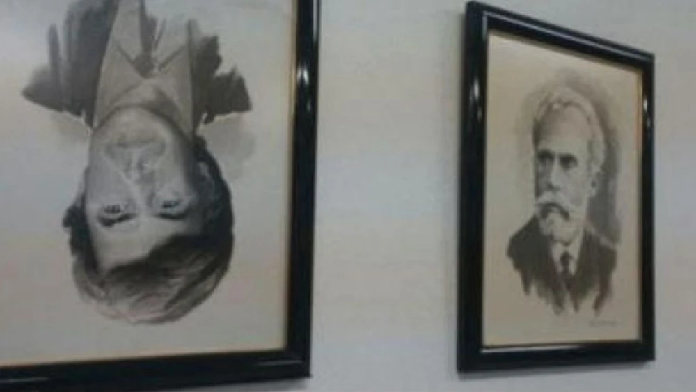 Retrato de Felipe González del revés Retrato de Felipe González del revés