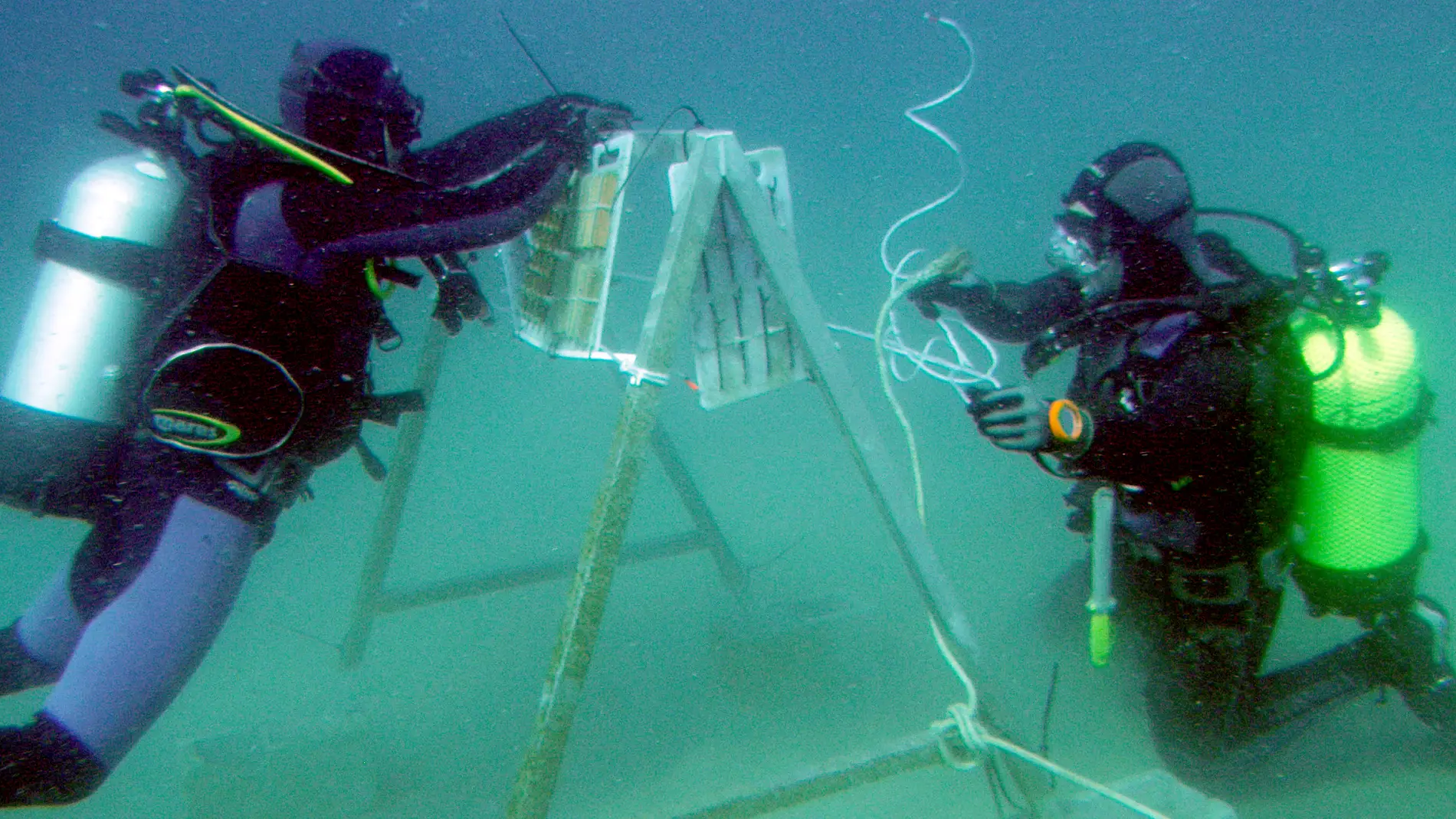 Investigadores de la Universidad de Cádi