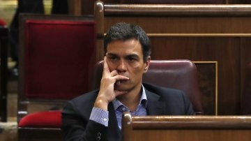 El exsecretario general del PSOE Pedro Sánchez