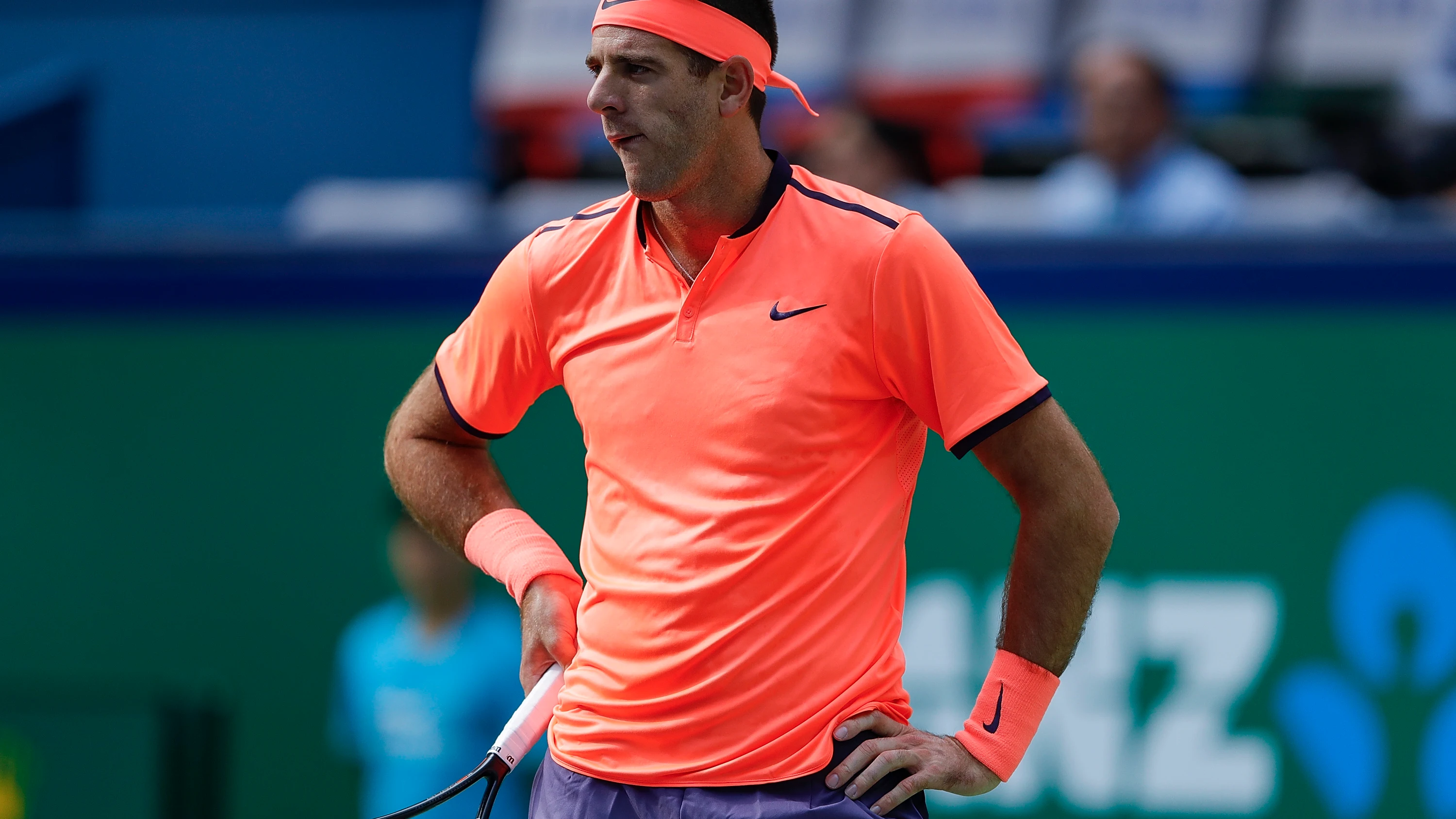 El tenista Juan Martín del Potro El tenista Juan Martín del Potro