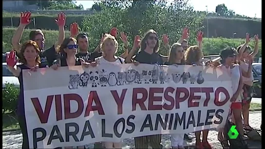 Frame 0.782308 de: Los donostiarras, a un paso de poder decidir si quieren seguir celebrando corridas de toros Frame 0.782308 de: Los donostiarras, a un paso de poder decidir si quieren seguir celebrando corridas de toros