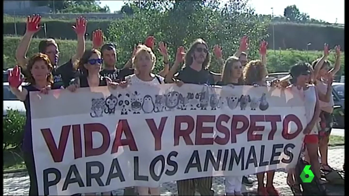 Frame 0.782308 de: Los donostiarras, a un paso de poder decidir si quieren seguir celebrando corridas de toros Frame 0.782308 de: Los donostiarras, a un paso de poder decidir si quieren seguir celebrando corridas de toros