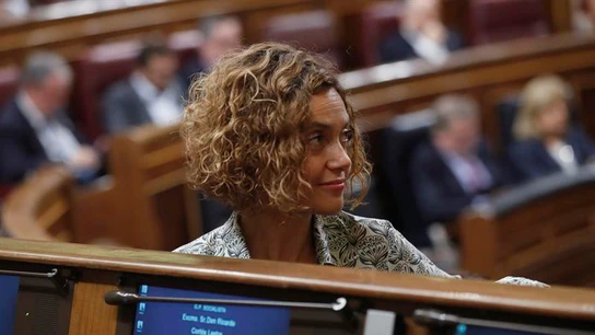 La portavoz adjunta del grupo socialista en el Congreso, Meritxell Batet La portavoz adjunta del grupo socialista en el Congreso, Meritxell Batet