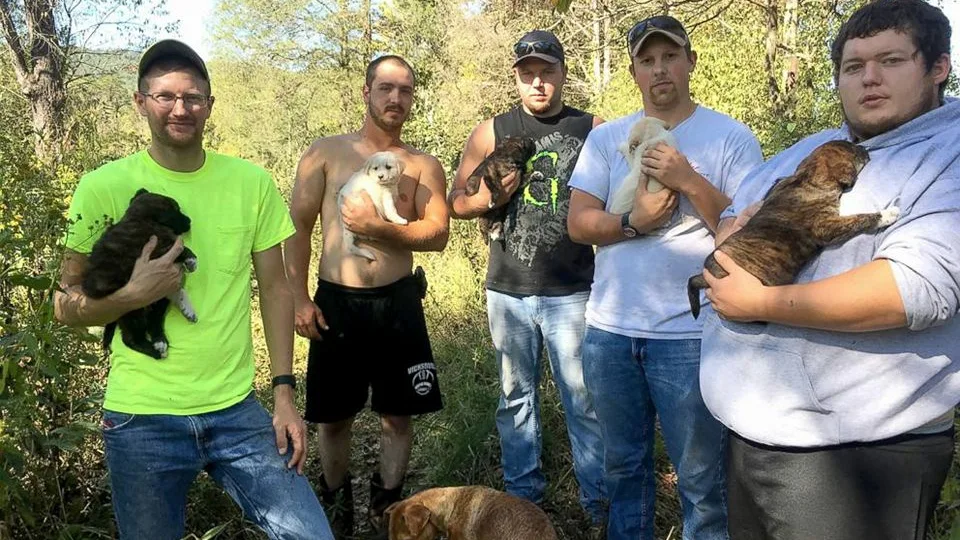 Grupo de amigos y cachorros 