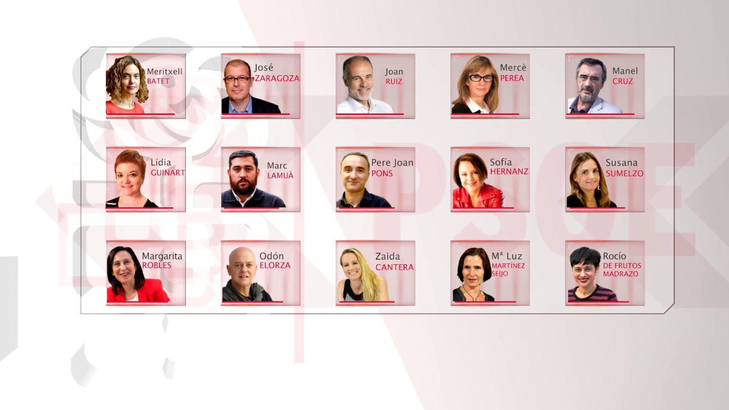Estos son los 15 diputados d&iacute;scolos del PSOE