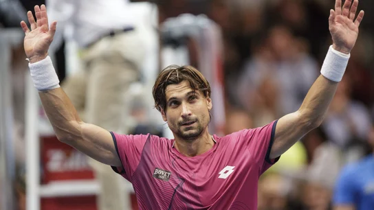 David Ferrer, tras ganar a Troicki en Viena David Ferrer, tras ganar a Troicki en Viena
