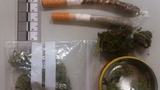 Droga incautada por la Polic&iacute;a Foral