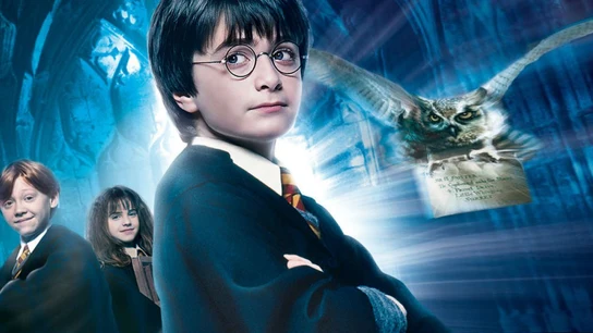 Harry Potter Harry Potter