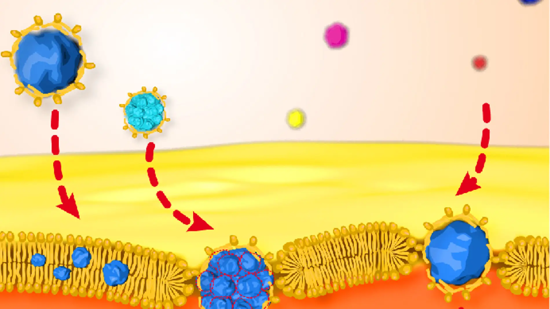 nanopartículas