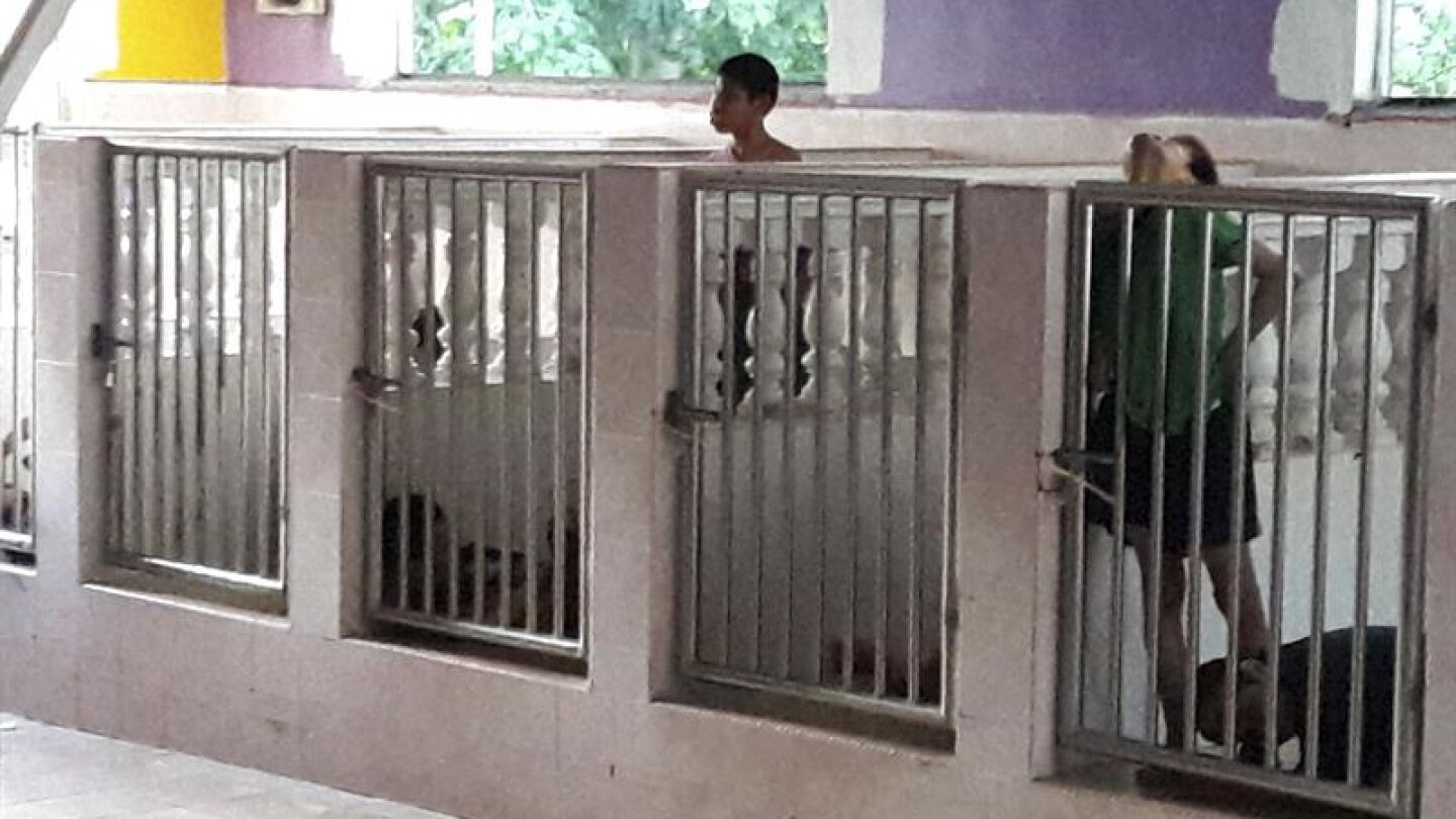 Habit&aacute;culos donde reside una decena de discapacitados mentales