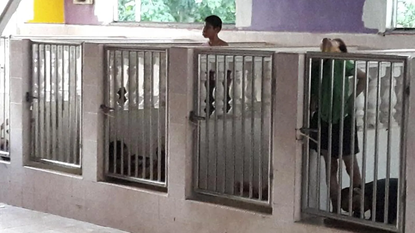 Habitáculos donde reside una decena de discapacitados mentales Habitáculos donde reside una decena de discapacitados mentales