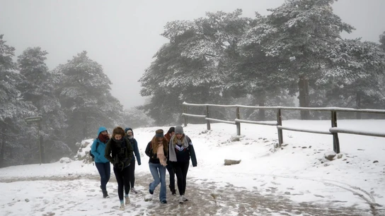 Nieve en Navacerrada Nieve en Navacerrada