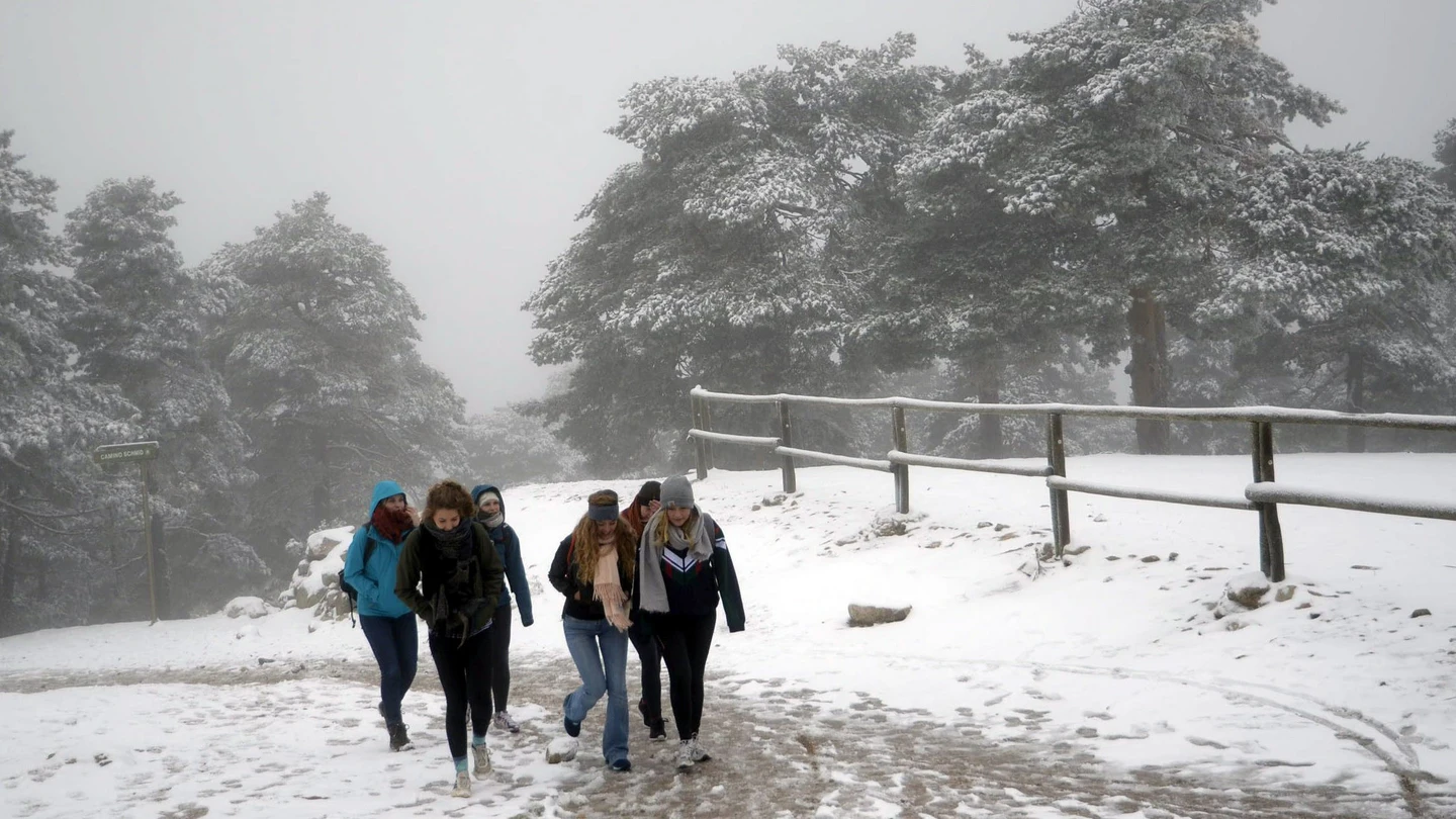 Nieve en Navacerrada Nieve en Navacerrada