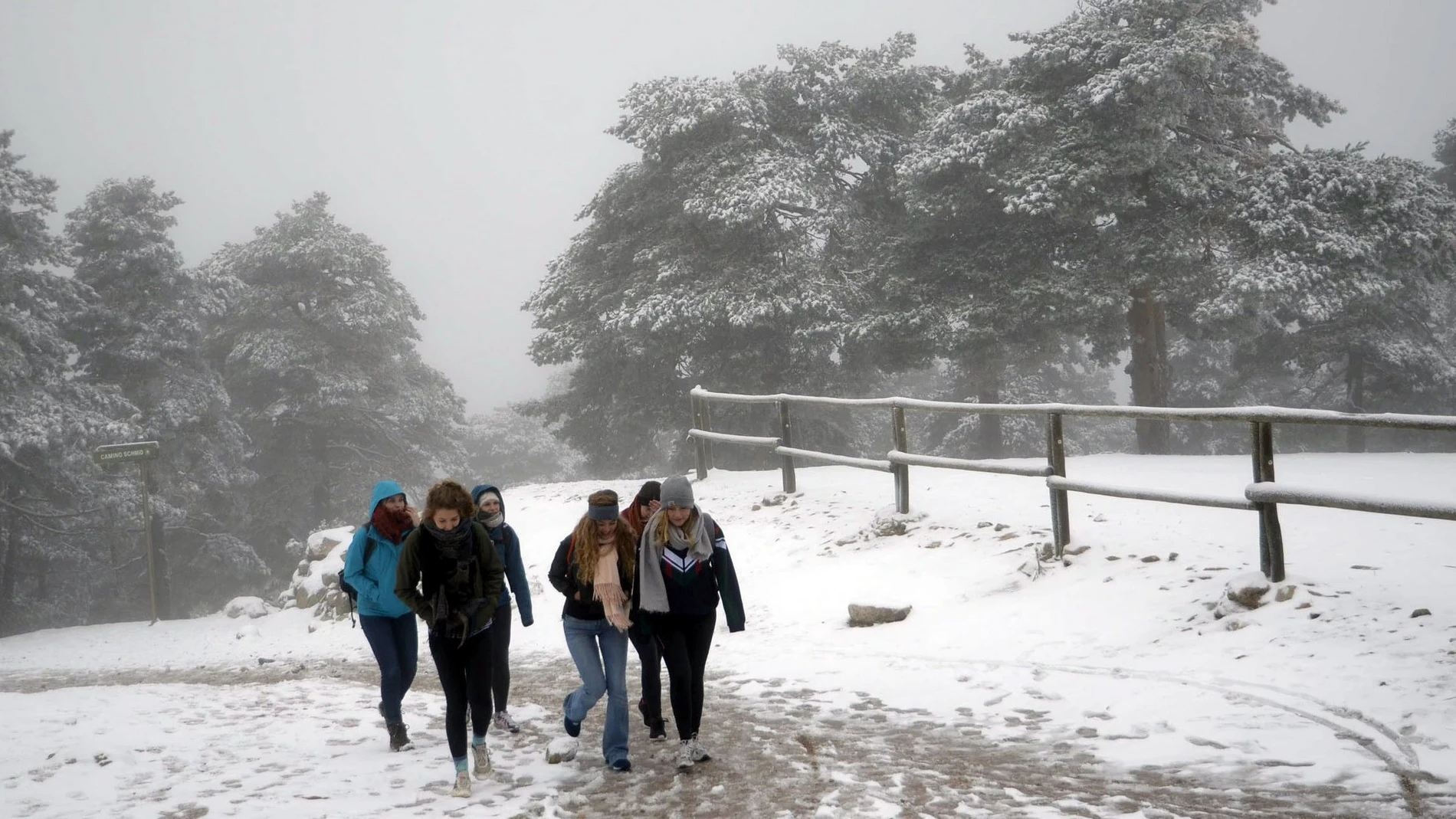 Nieve en Navacerrada