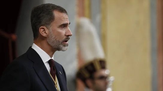 El rey Felipe VI en el Congreso El rey Felipe VI en el Congreso