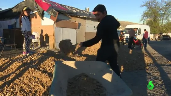 Frame 82.955179 de: gallinero Frame 82.955179 de: gallinero