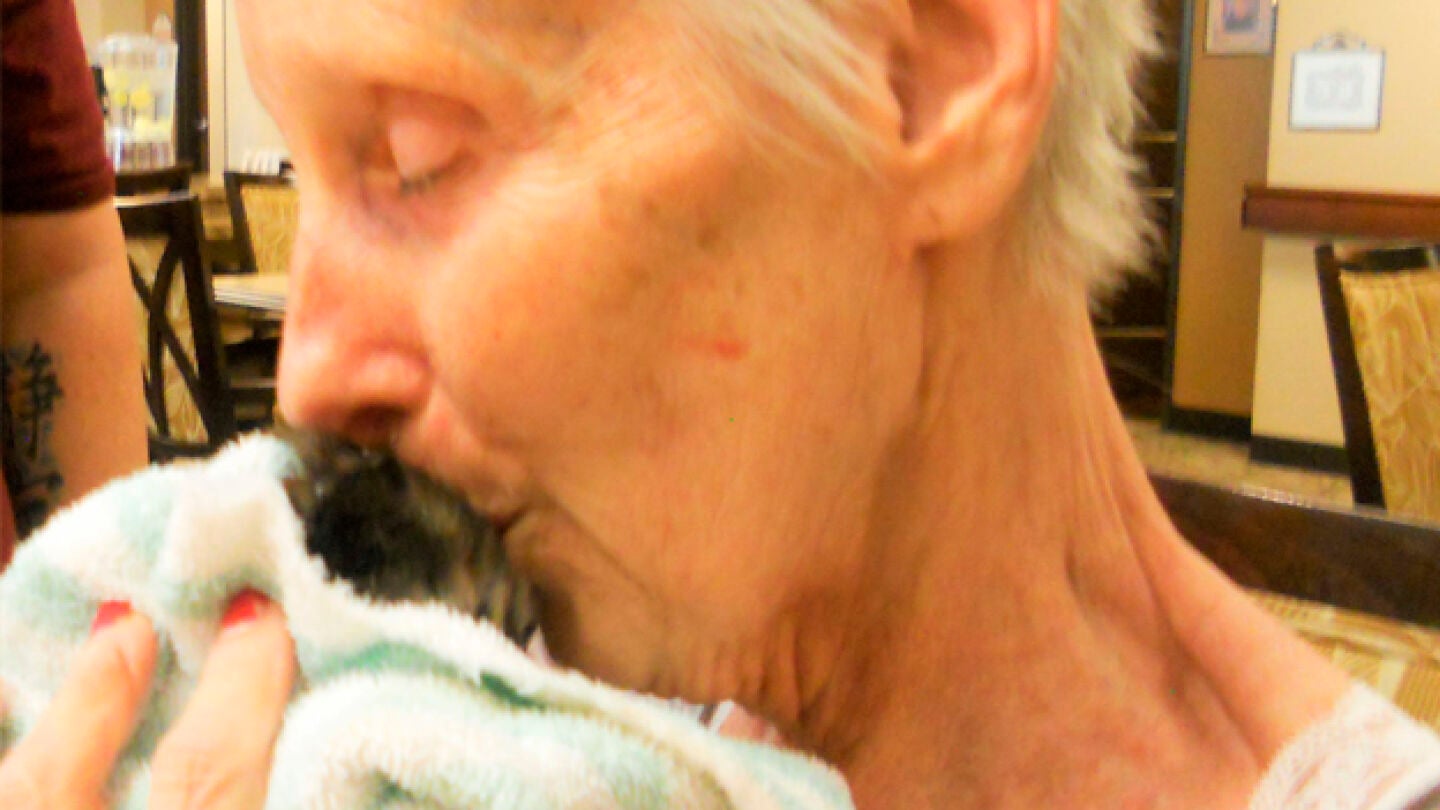 Una anciana con un gato abandonado