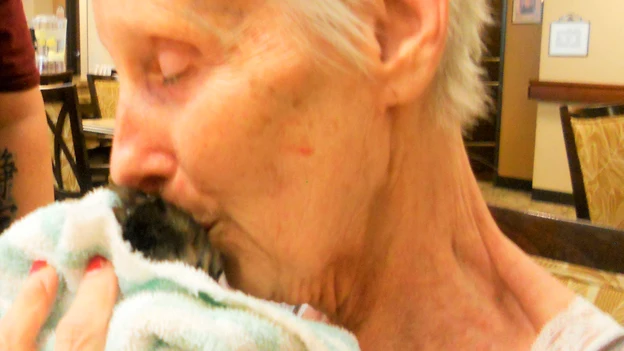 Una anciana con un gato abandonado