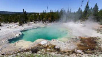 Aguas termales del Parque Yellowstone