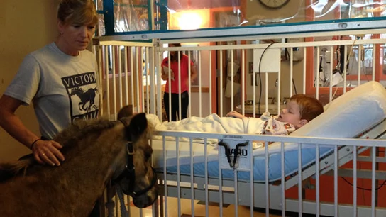 Petie ayuda a los niños de los hospitales Petie ayuda a los niños de los hospitales