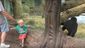 Isaías y Kamoli juegan al escondite en el zoo