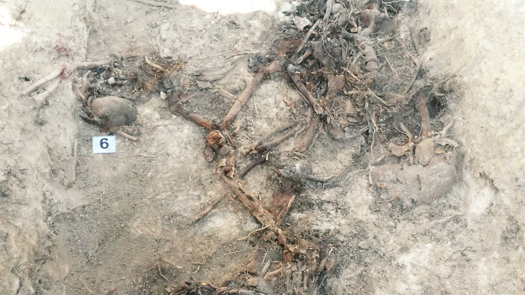 Restos encontrados en Porreres