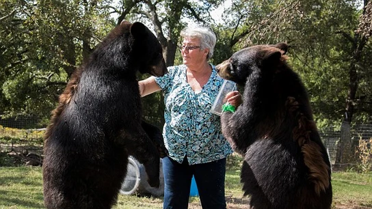 Bonnie Hart con sus osos Bonnie Hart con sus osos
