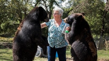 Bonnie Hart con sus osos
