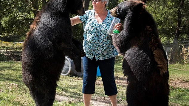 Bonnie Hart con sus osos