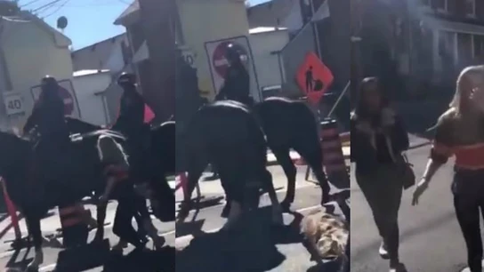 Imagen del momento en el que el caballo se defiende ante la agresión de la joven Imagen del momento en el que el caballo se defiende ante la agresión de la joven