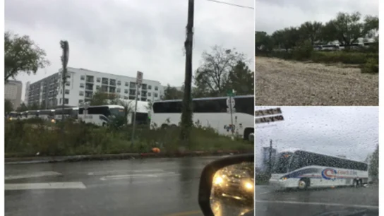 Imágenes publicadas en Twitter por un vendedor en Austin, Texas, al día siguiente de las elecciones presidenciales. Imágenes publicadas en Twitter por un vendedor en Austin, Texas, al día siguiente de las elecciones presidenciales.