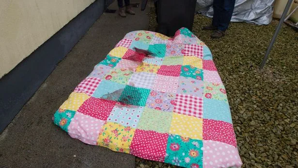 Manta sobre la que fue encontrado el cuerpo del animal