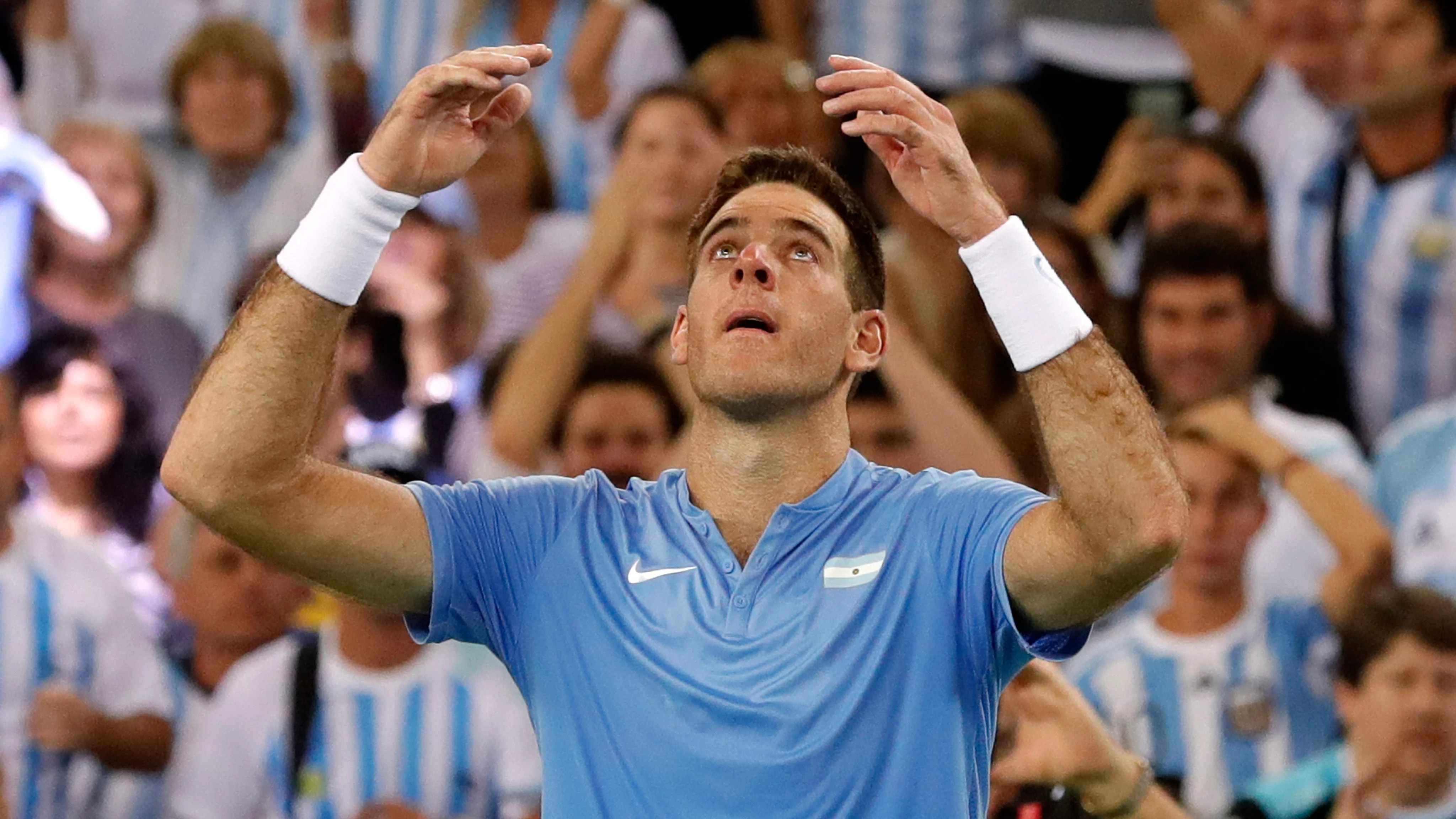 Del Potro celebrando su triunfo en la Copa Davis