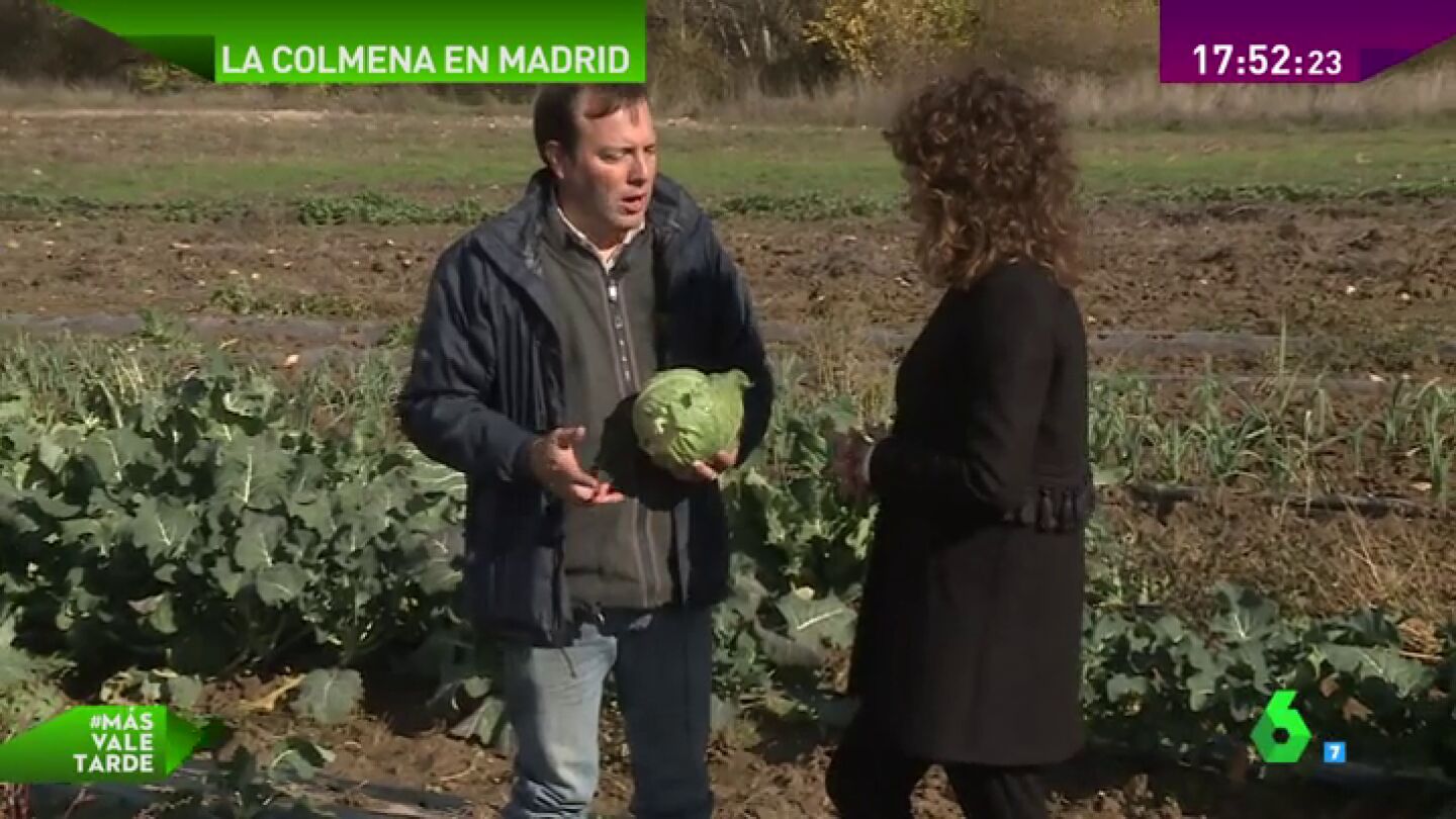 Frame 52.640396 de: alimentos ecol&Atilde;&sup3;gicos