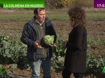 Frame 52.640396 de: alimentos ecológicos Frame 52.640396 de: alimentos ecológicos