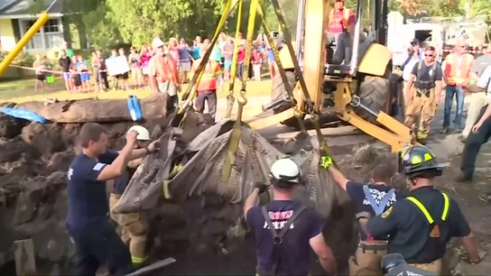 Rescatan a un manatí atrapado en un desagüe Rescatan a un manatí atrapado en un desagüe
