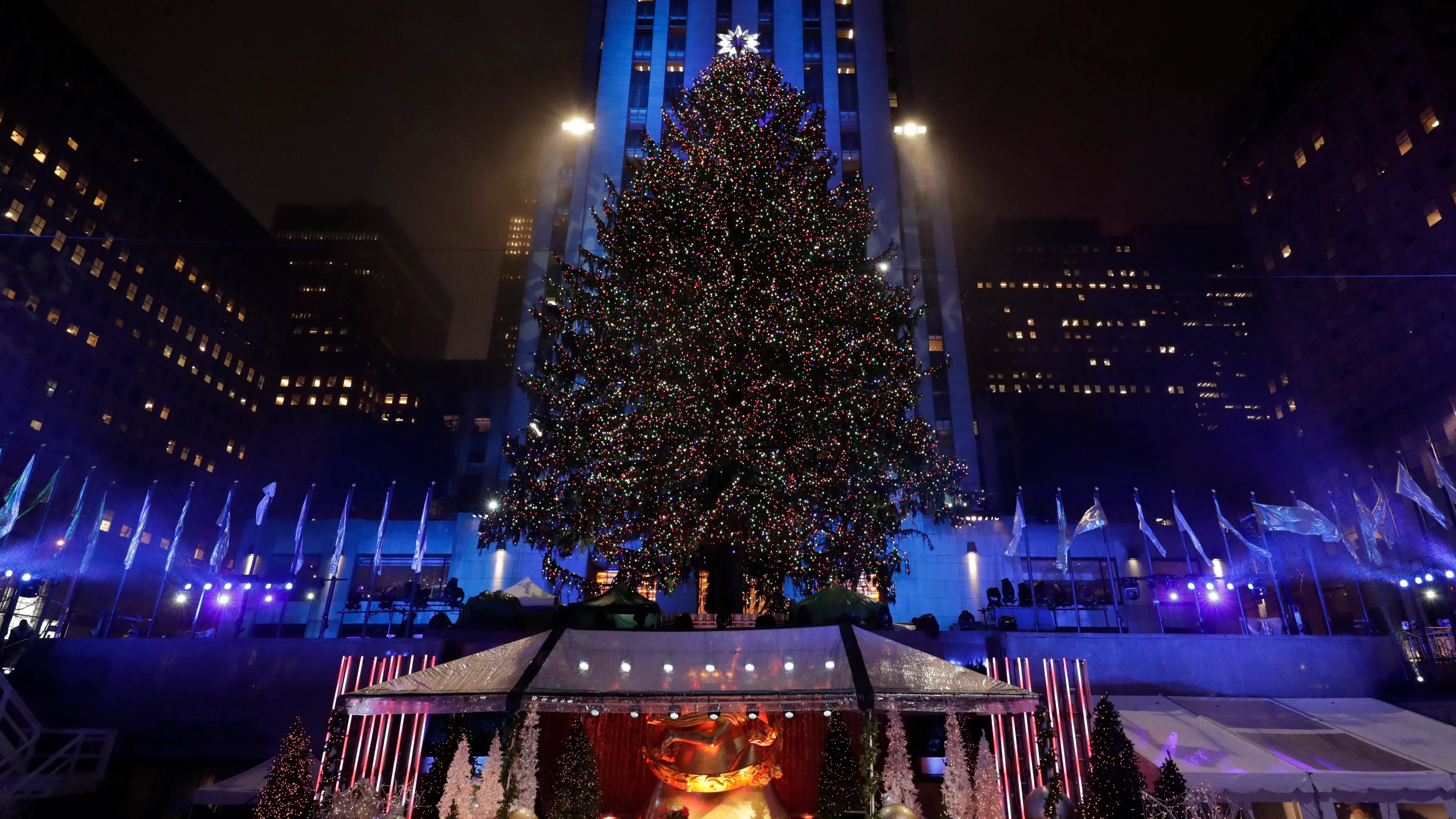 Árbol de Navidad instalado en el Rockefeller Center Árbol de Navidad instalado en el Rockefeller Center