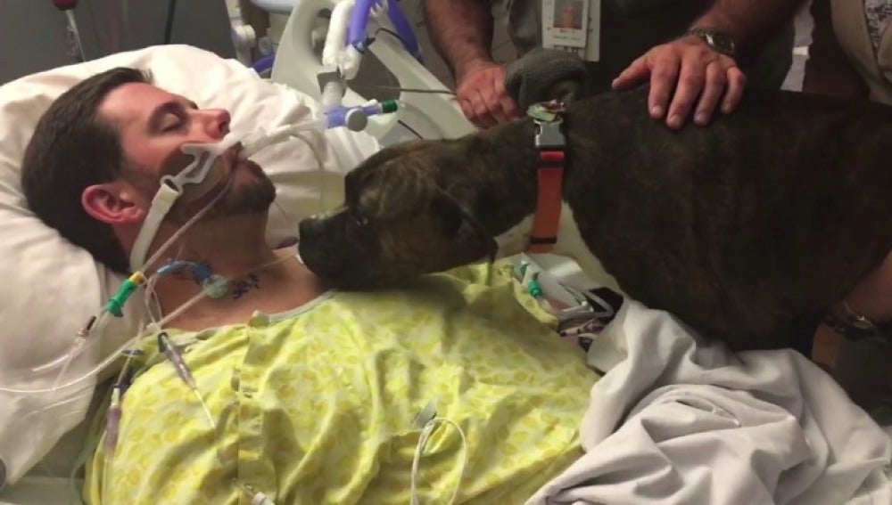 Una perra se despide de su dueño antes de morir en el hospital