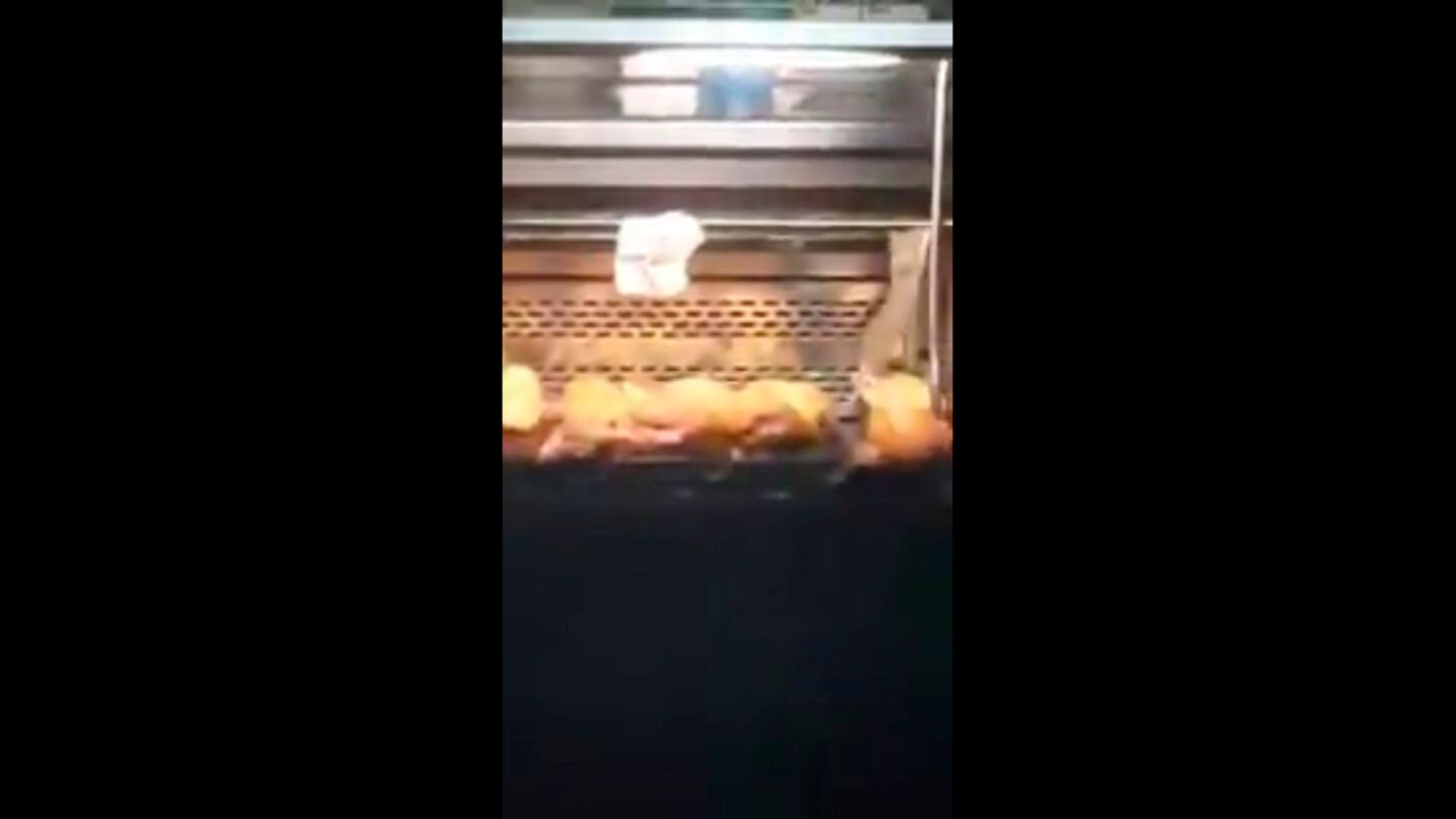 Una rata en el mostrador de una panader&iacute;a Granier
